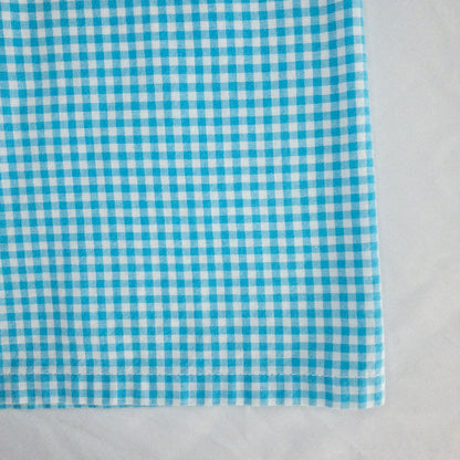 Faded Glory vintage blue and white gingham sleeveless dress with v-neck and back zipper on clear hanger against white background image 4