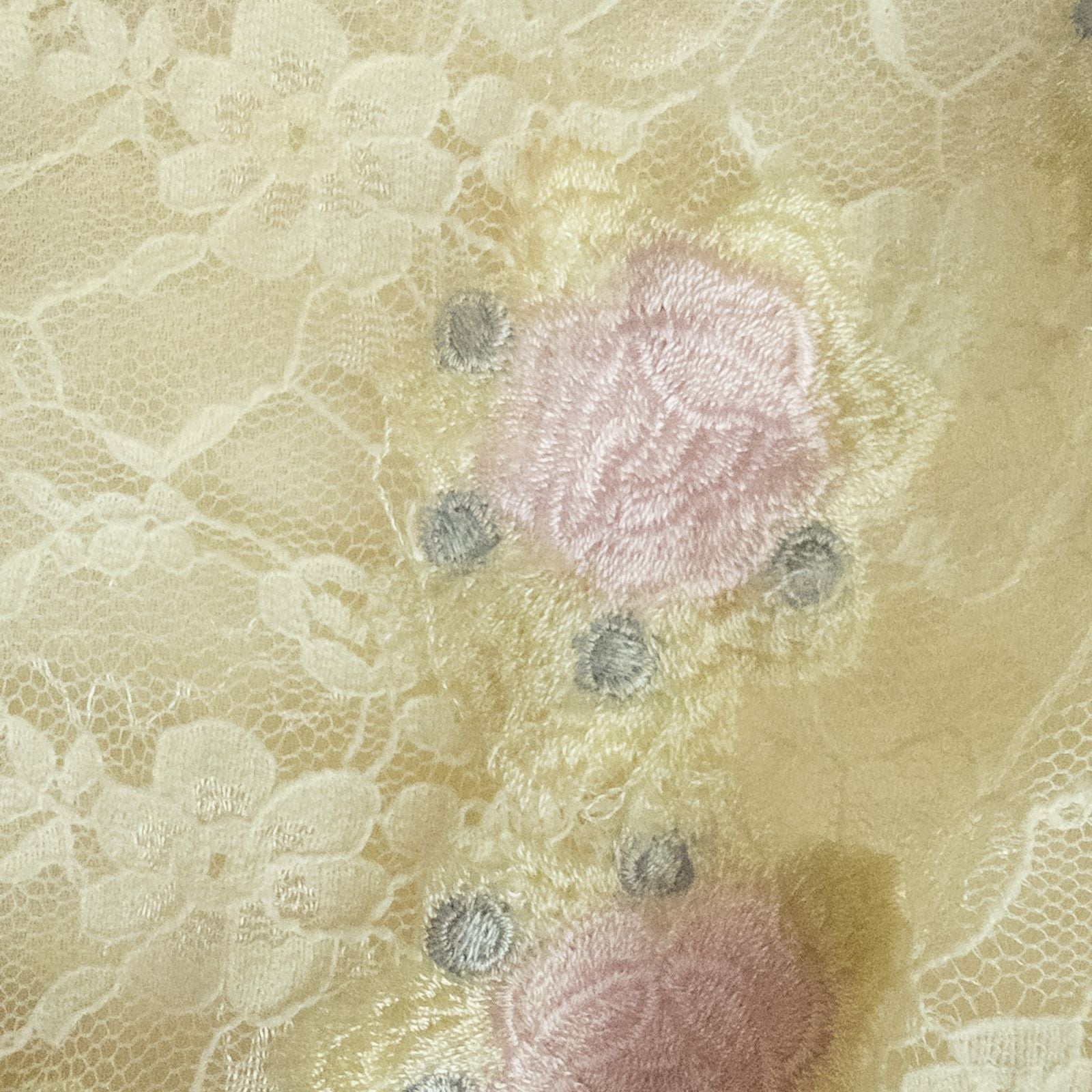 Synergy vintage ivory floral lace sheer blouse with long sleeves and embroidered lace bib front image 5