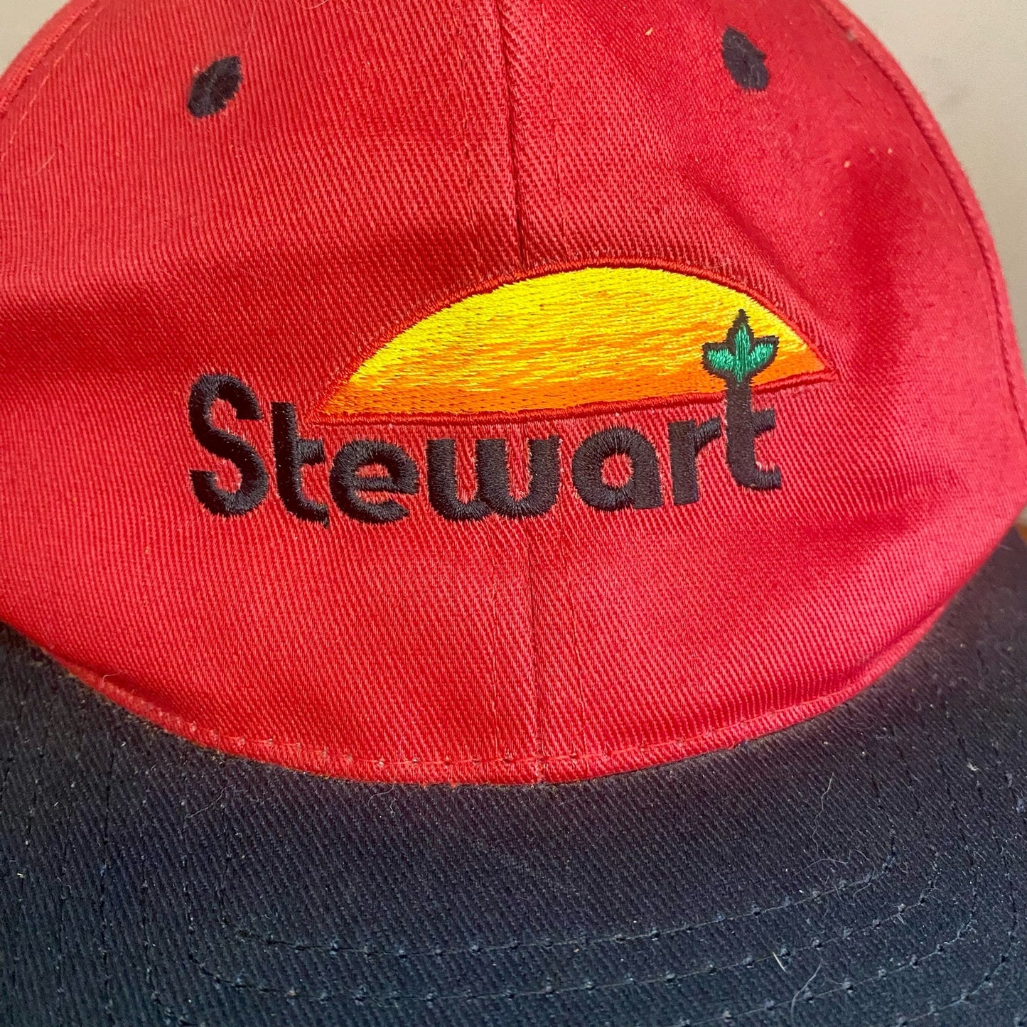 Stewart Seeds Red Adjustable Snapback IN-DE Baseball Hat Unisex Mens One Size
